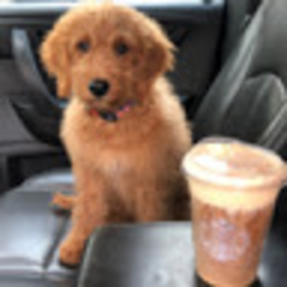 Meet your Posher, Andy